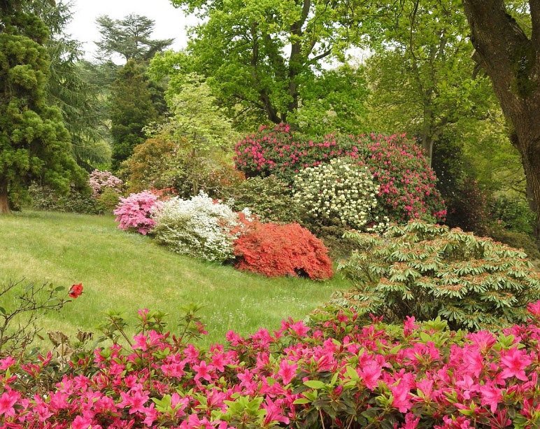 High Beeches Gardens, United Kingdom
